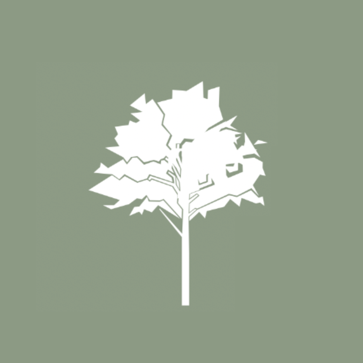 Araguaney Jardinespy Madrid